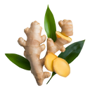 Ginger to the Rescue: Your Tummy, Muscles, and Mood Will Thank You 😌