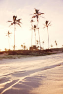 School’s Out, Sun’s Out—Here’s How to Keep Everyone Hydrated (Without the Sugar Crash)